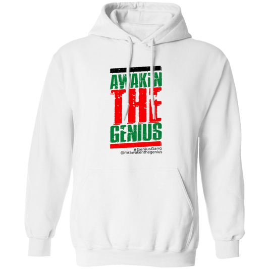 Z66x Pullover Hoodie