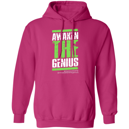 Z66 Pullover Unisex Hoodie(Heliconia)